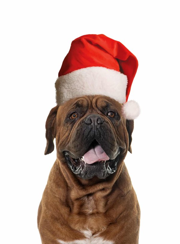 Quelles sont les prestations proposées par les agences de communication digitale à Bordeaux ?